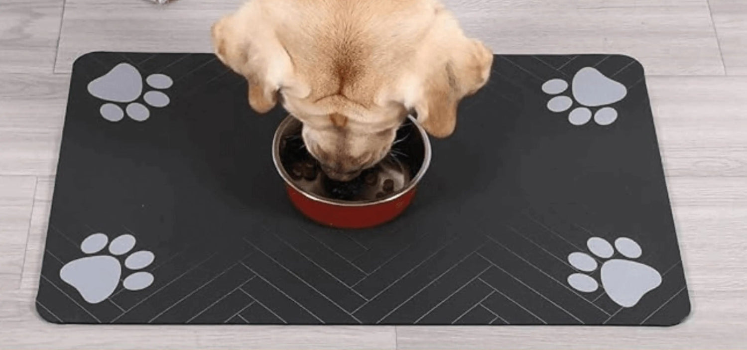 image comparison after