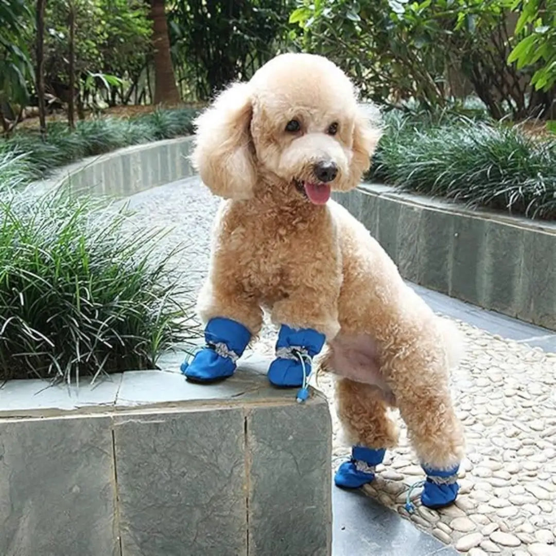4pcs/set Waterproof Pet Dog Shoes