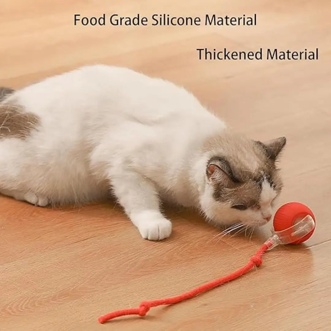 Pet Electric Rolling Ball