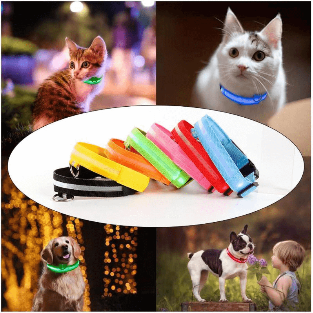 LED Dog Collar Pet Collar Glowing
