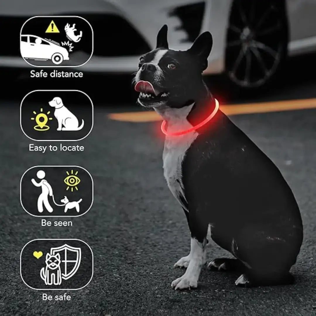 Led Fashion Flashing DIY Glowing Safety Collar for Dogs Night time