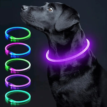 Led Fashion Flashing DIY Glowing Safety Collar for Dogs Night time