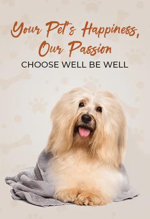 slider image 1621243260e1af0c20-1