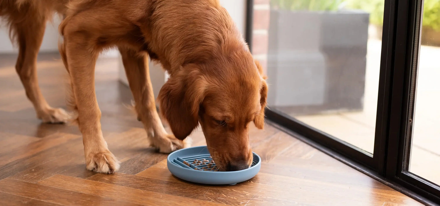 image comparison before