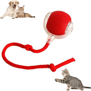 Pet Electric Rolling Ball